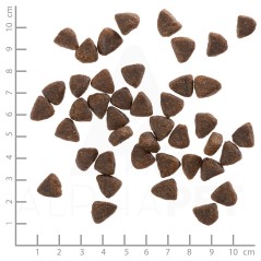 WOLFSBLUT Wide Plain Small breeds Horse with sweet potatoes - dry dog food - 2kg