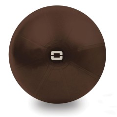 Gimnast. kamuolys 75cm TOORX Liveness AYP-003 chocolate su pompa
