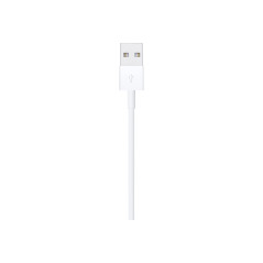 Apple Lightning to USB Cable (1m) | Apple