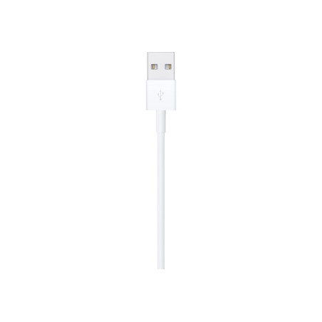 Apple Lightning to USB Cable (1m) | Apple