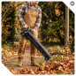 Cordless leaf blower 40V 245 km/h W04403 WUBER