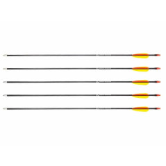 Poe Lang 28 fibreglass arrows - set of 5 (D-055-B3)