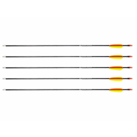 Poe Lang 28 fibreglass arrows - set of 5 (D-055-B3)