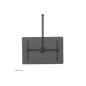 Neomounts CL35-440BL16L Monitor/TV Mount Ceiling | Adjustable Height, Rotate, Tilt, Swivel | 37-70 " | Maximum weight (capacity)