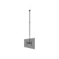 Neomounts CL35-440BL16XL Monitor/TV Mount Ceiling | Adjustable Height, Rotate, Tilt, Swivel | 37-70 " | Maximum weight (capacity