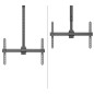 Neomounts CL35-440BL16XL Monitor/TV Mount Ceiling | Adjustable Height, Rotate, Tilt, Swivel | 37-70 " | Maximum weight (capacity