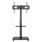 Gembird TVS-75S-02 TV floor stand with caster wheels, 37" - 75", black