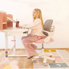 Desk Study 5.0 Pink