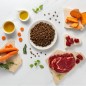 RAW PALEO Ultra Mini Adult Beef - dry dog food - 2 kg