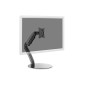 Digitus | Desk Mount | Universal LED/LCD Monitor Stand with Gas Spring | Tilt, swivel, height adjustment, rotate | Black